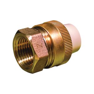 Prosource 1/2 in. Slip x FIP Chlorinated Polyvinyl Chloride Unionimage