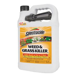 Spectracide 1 gal. Weed and Grass Killerimage