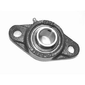 2 Hole Flange Mount Bearing NAN FL-205-16 - 1 Bore Sizeimage