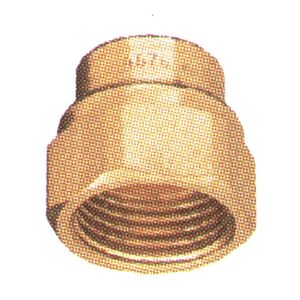 Adapter Nozzle Cap Simage