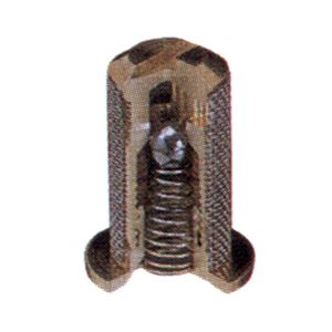 Brass Strainer 50 Mesh W/5 PSI Check Valveimage