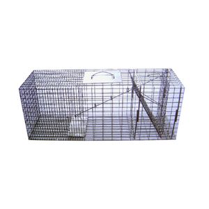 Trap For Raccoon & Woodchucksimage