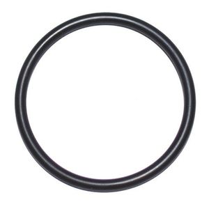 O Ring 485025 For Gearbox Morra MF 25 - MF 22 Disc Mowerimage