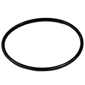 Seal For Morraimage