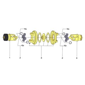 Center For Homkinetic Assy Eurocardanimage