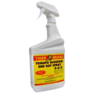 Tomato Blossom End Rot Qtimage