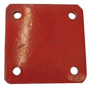 Plate Turkey Rakeimage