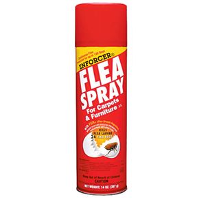 Flea Spray For Carpets & Furniture Fgrimage