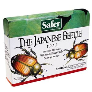 Japanese Beetle Trap Boximage