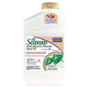 all seasons horticultural oil qtimage