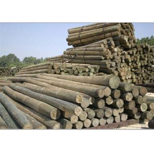 6 6 Southern Yellow Pine Wood Post,  4- 5 Diameter, CCA Treatedimage
