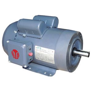 Single Phase Farm Duty Motor, 1/3 HP, 1725 RPMimage