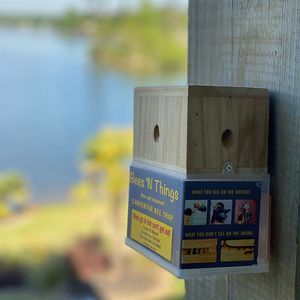 Carpenter Bee Catcherimage