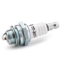 Oregon&reg; 77-307-1 RCJ6Y Spark Plug