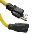 100 ft. Outdoor Extension Cord, 12 Gauge