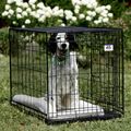 Miller Large Double Door Wire Pet Crate