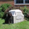 Insulated Dog House, Small, Gray