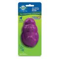 PetSafe&reg; Busy Buddy&reg; Squirrel Dude&trade; - Medium