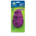 PetSafe&reg; Busy Buddy&reg; Squirrel Dude&trade; - Large