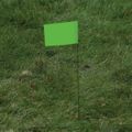 127816_3.jpg