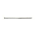 Nail Pole Bright Ring 20D 5 Lb.