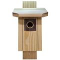 Eastern Bluebird Wood House