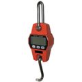 Digital Hanging Scale 660 lbs. Max