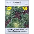 Green Curled Endive Seeds 1/16 oz. Pack