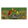Bathing Birds Switch Mat