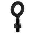 National Hardware 1/4 in. x 2 in. Storm Shine Eye Bolt with Nut