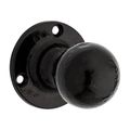 National Hardware 2-7/8 in. Black Decorative Pull Door Knob