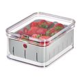 Interdesign Clear and Gray Plastic Berry Storage Bin