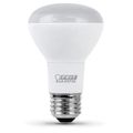 Feit Electric 45 W Equivalent R20 E26 Dimmable LED Bulb