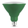 Feit Electric PAR38 Green LED Bulb