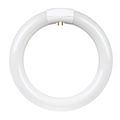 Feit Electric 8 in. 22 W. T9 4-Pin Cool White Circline Fluorescent Bulb