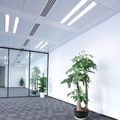 140892_4.jpg