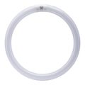 Feit Electric 12 in. 32 W T9 Cool White Circular Fluorescent Light Bulb