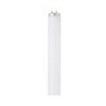 Feit Electric 4 ft. 40 W T12 Daylight Fluorescent Tube
