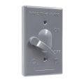 Hubbell 1-Gang Vertical Switch with Cover