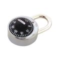 Master Lock 1-7/8 in. Combination Padlock