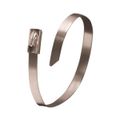 Gardner Bender 11 in. 100 lb. Stainless Steel Cable Tie, 10-Pack