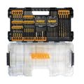 DEWALT FlexTorq 100-Piece Screwdriver Bit Set