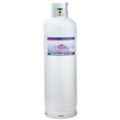 Flame King Propane Gas Cylinder, 100 lbs. (Empty Tank)