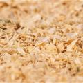 Pine Wood Shavings, 4 Cubic Feet