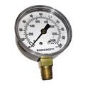 2-1/2 200 Psi Gauge
