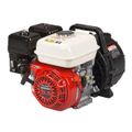 5.5 HP 2 Honda Pacer Pump