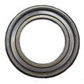 Ferroni&reg; RMT-108 BEARING 6009 ZR