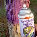 No Hunt Purple Paint, 12 Ounce Aerosol
