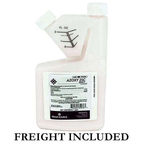 Ashoxy AZOXY 2SC PINT | Agri Supply