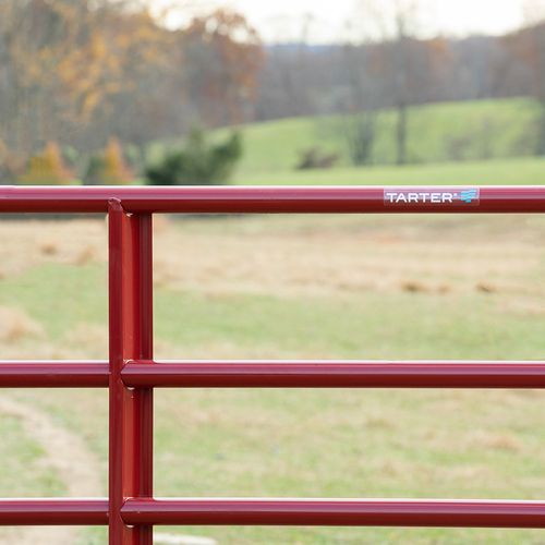 Tarter® Steelmax Stock Gate 14 ft. | Agri Supply